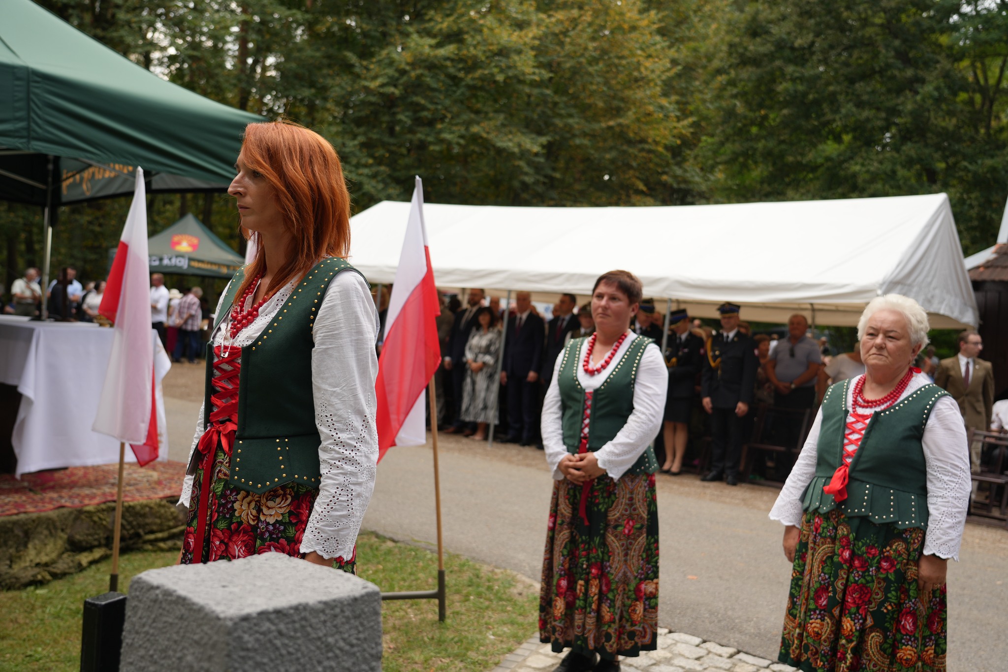 Grupa w strojach na tle krajobrazu